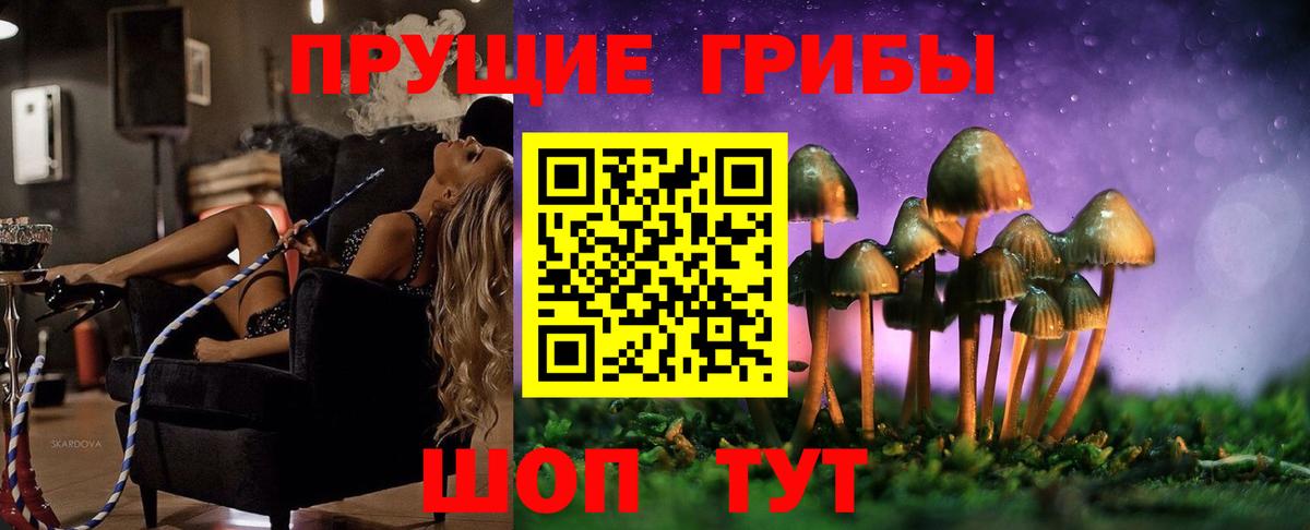 Галлюциногенные грибы Magic Shrooms  Галлюциногенные грибы Cubensis  Шуя  Вход с VPN 